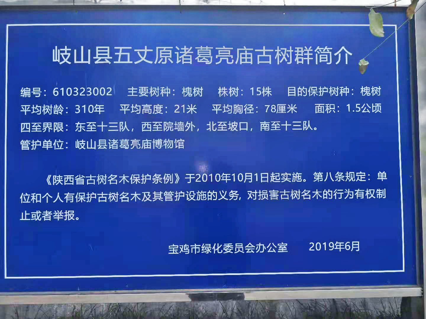 1667352341287194.png 圖片 8.png