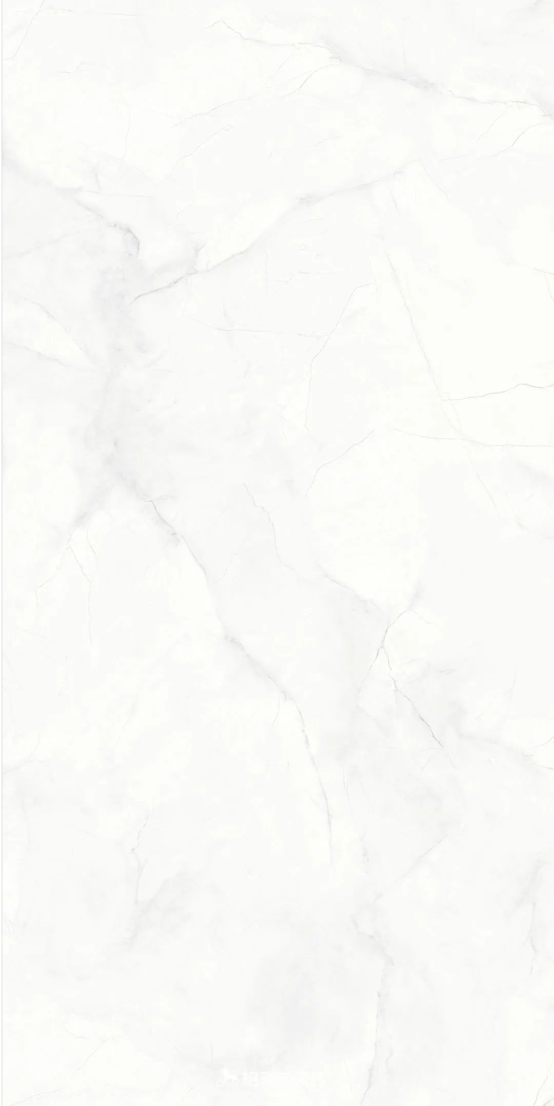 1685082358893411.jpg 11.jpg