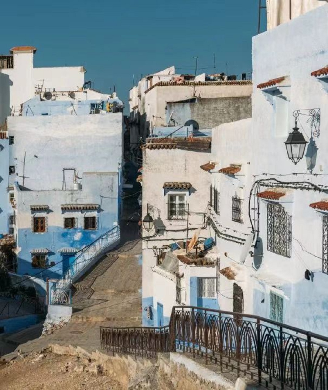 1721792370543245.jpg 5新.jpg