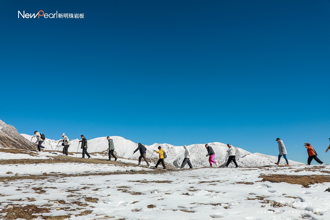 1731375364179228.jpg 9.jpg