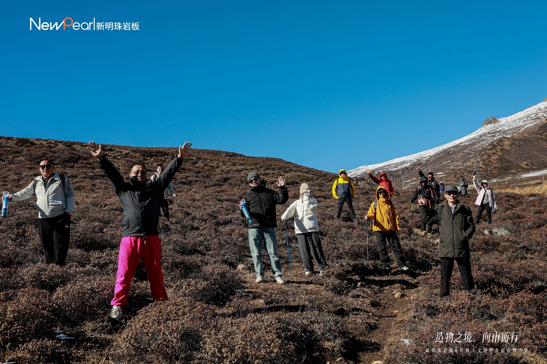 1731375390186314.jpg 11.jpg