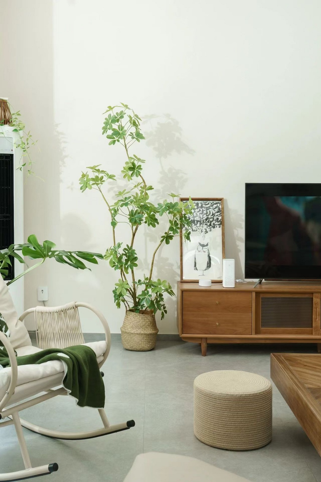 1731658287464630.jpg 16新.jpg